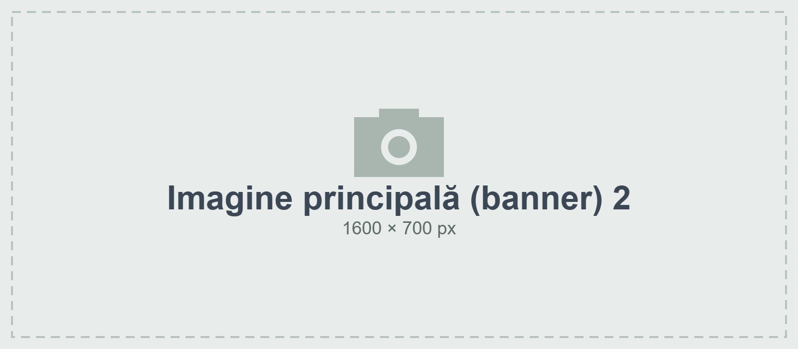 Imagine principală (banner) 2