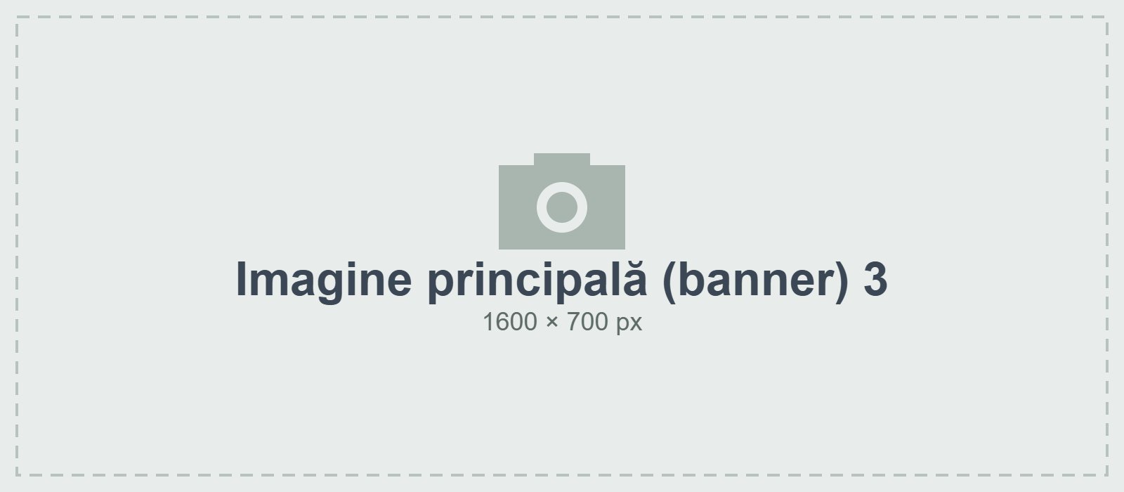 Imagine principală (banner) 3